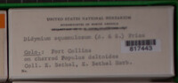 Image Associated With the Occurence